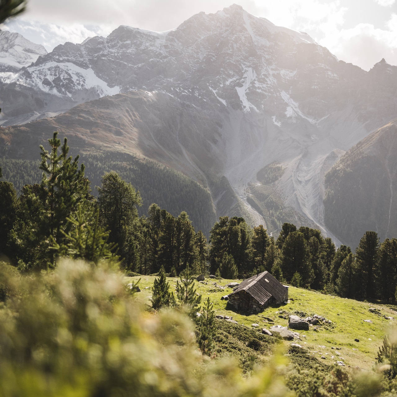 Una malga sopra la Val Vanosta in estate