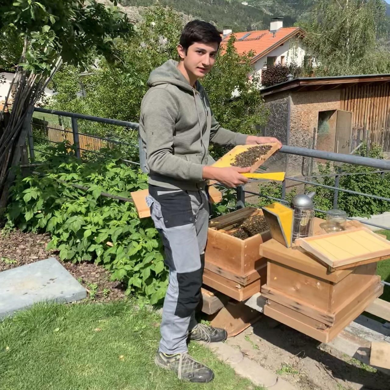 Waalhof organic farm holidays, bee keeping