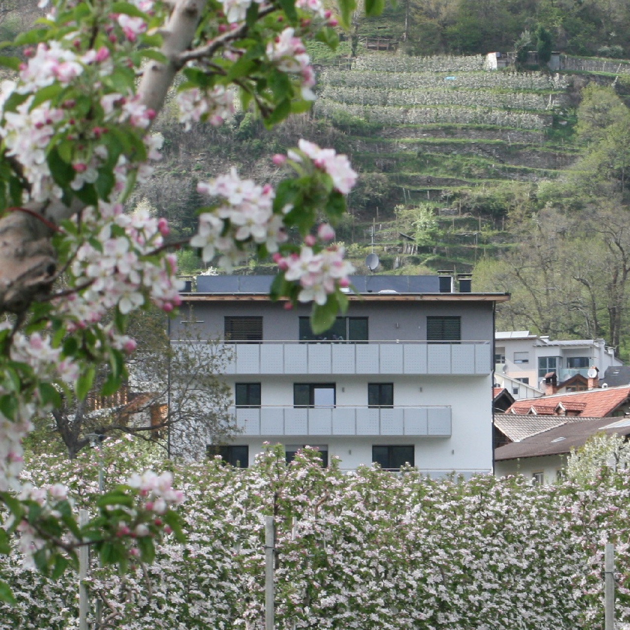 Urlaub auf dem Bio-Bauernhof