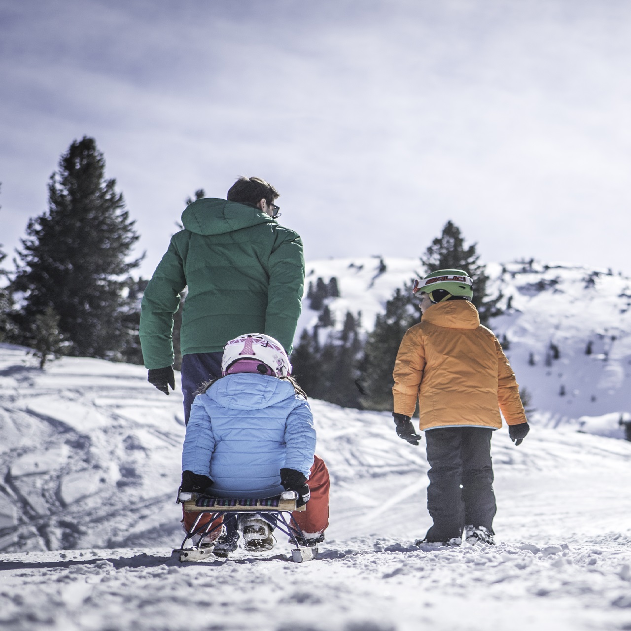 Winter Sledging in Val Venosta